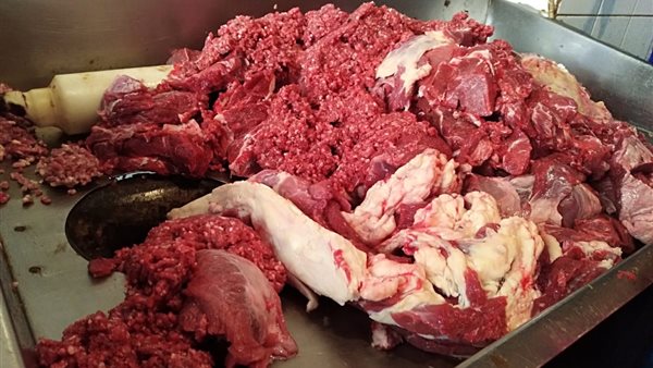 لحزم فاسدة ارشيف