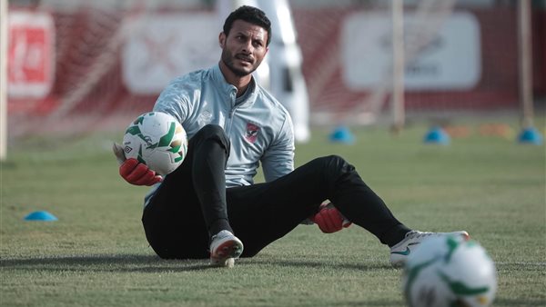 محمد الشناوي