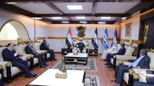 وزيرى الخارجية والرى