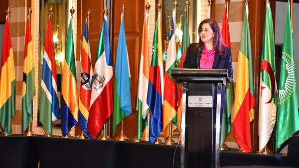 وزيرة التخطيط 