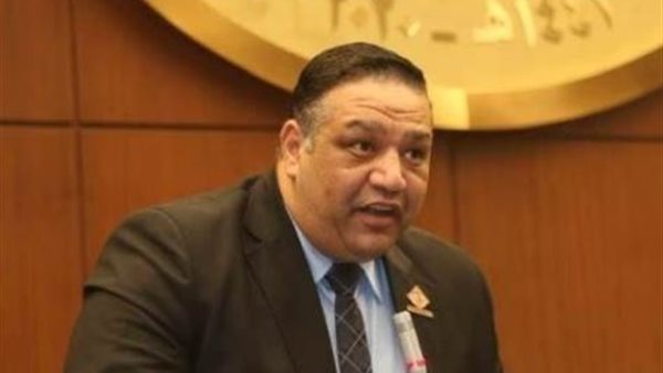 النائب محمد عزمى