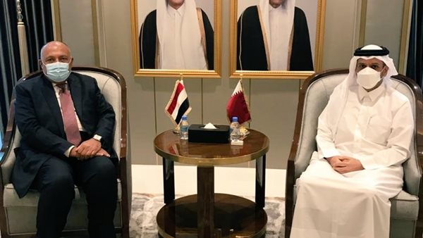 سامح شكري وزير الخارجية