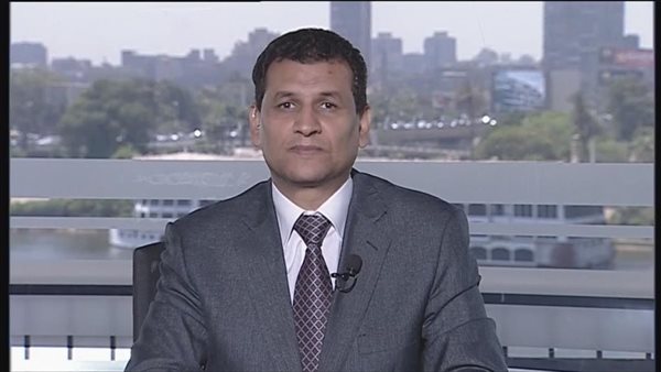  وائل عنبة، الخبير