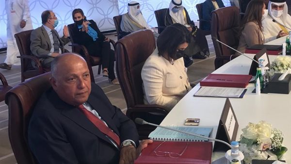 سامح شكري وزير الخارجية