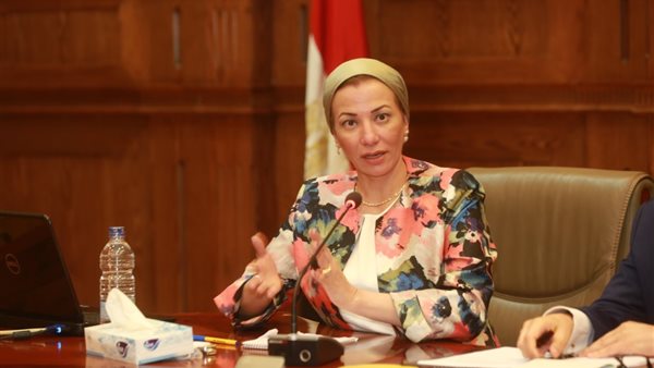 ياسمين فؤاد وزيرة