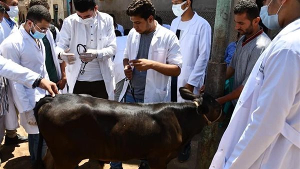 القافلة البيطرية