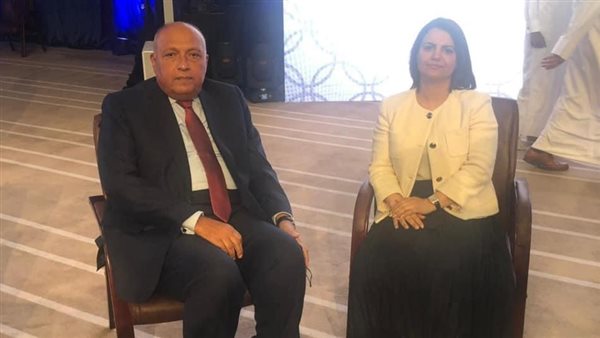 وزيرا خارجية مصر