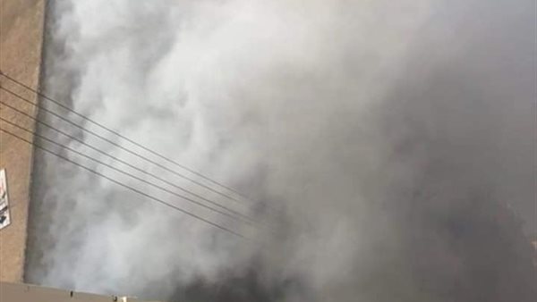 جانب من الحدث