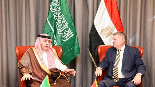 وزير قطاع الاعمال