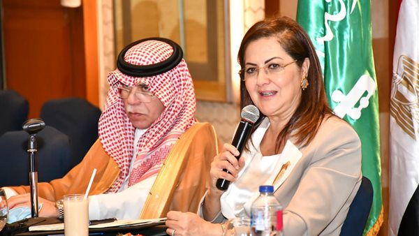 وزيرة التخطيط 