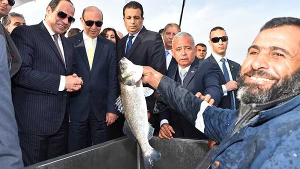 الرئيس السيسى