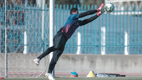 محمد الشناوي