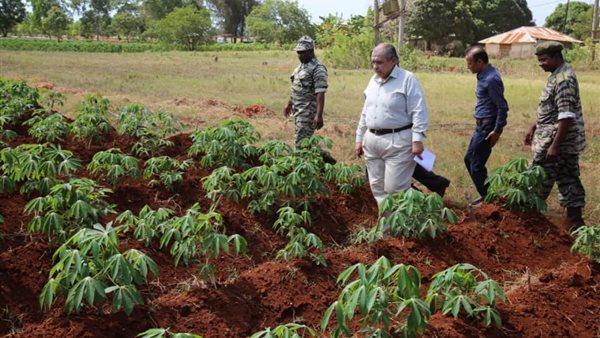 المزارع المشتركة