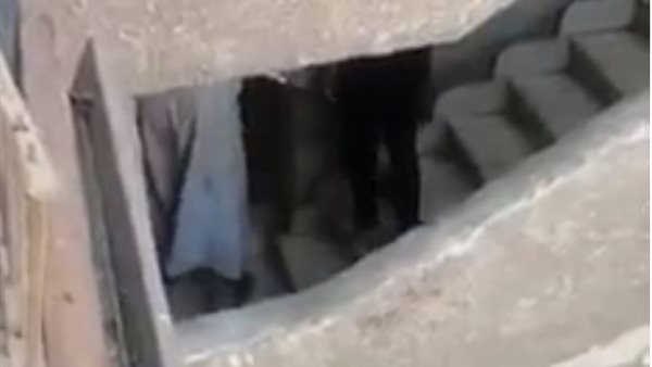 صورة من الفيديو 