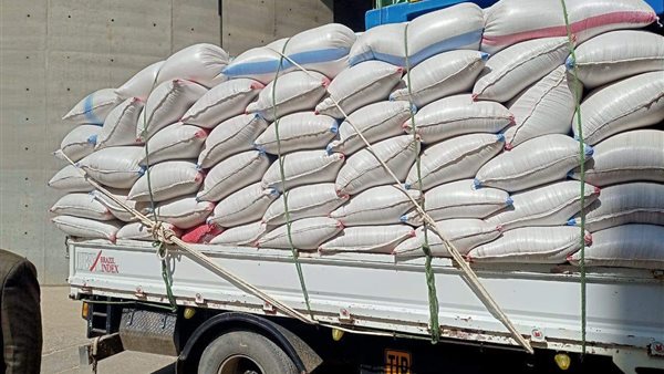 توريد القمح