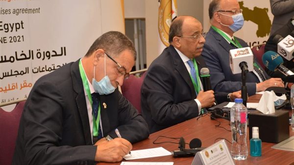 محمود شعراوى وزير