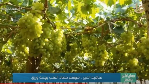 جانب من التقرير