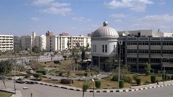 جامعة الفيوم 