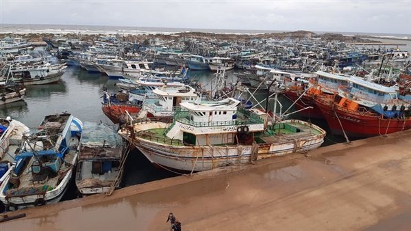 ميناء البرلس