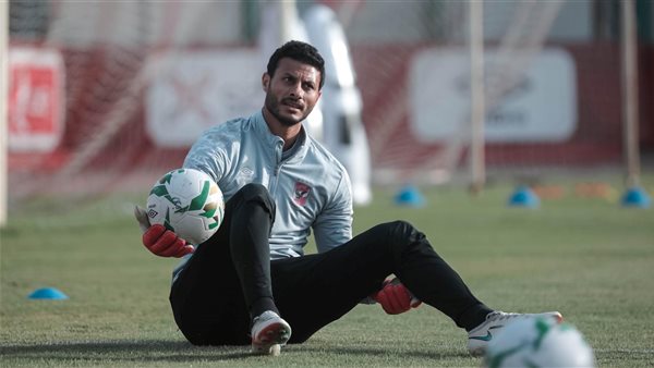 محمد الشناوي 