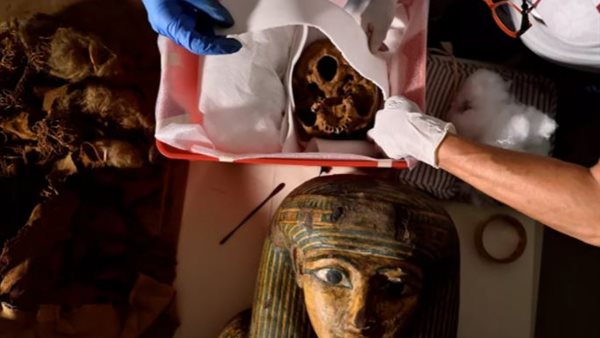 جانب من عمليات الفحص