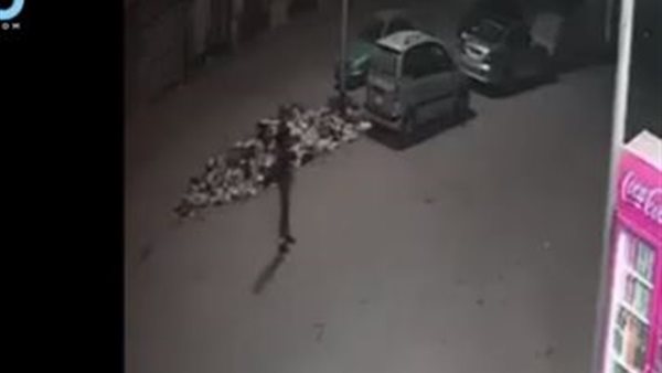 جانب من الحادث 