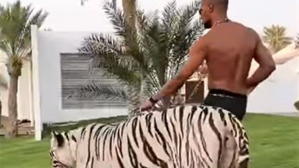 محمد رمضان بدبى 