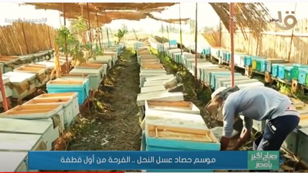 جانب من التقرير