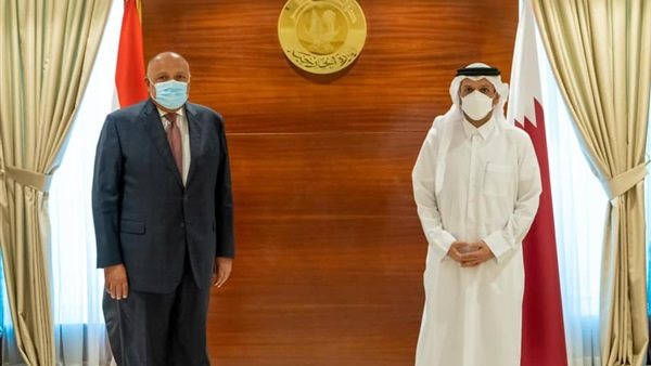 وزيرا خارجية مصر