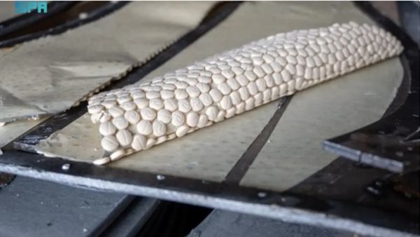 جانب من المضبوطات