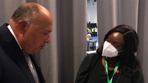 وزيرا خارجية مصر