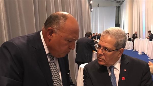 وزيرا خارجية مصر