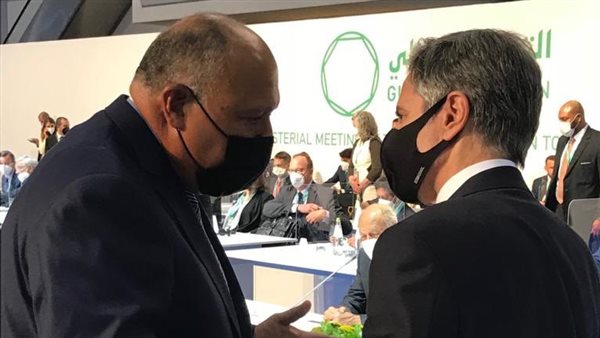 سامح شكري وأنتوني