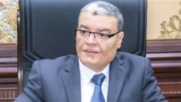 محافظ المنيا 