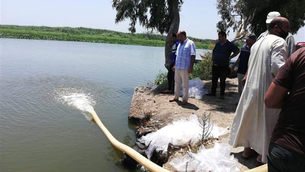 بحيرة البرلس