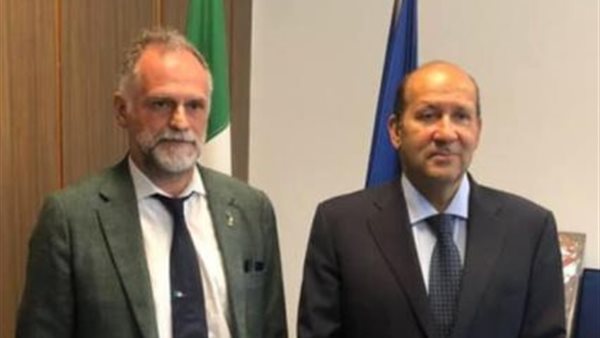 السفير المصري في