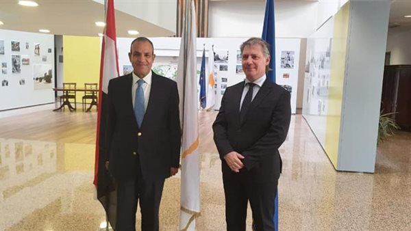 السفير بدر عبد العاطى