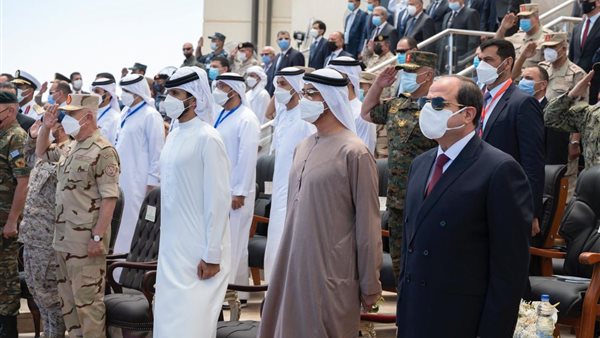 الرئيس السيسى