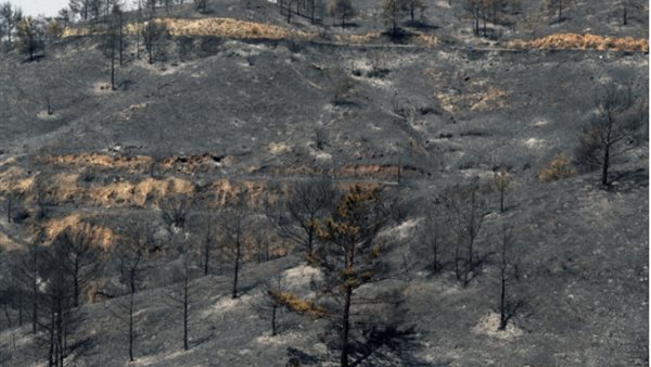 حرائق غابات قبرص