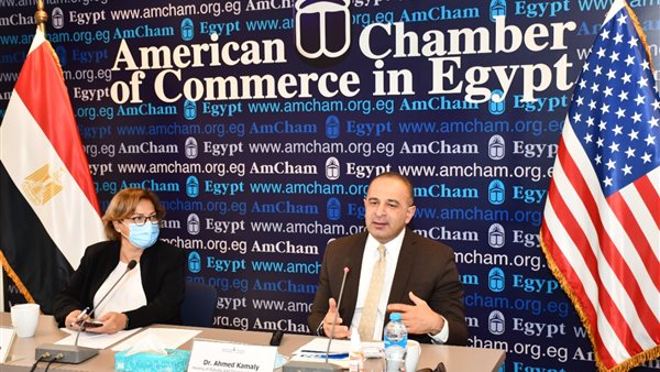  نائب وزيرة التخطيط