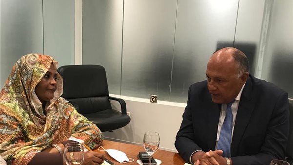 وزير الخارجية ونظيرتو