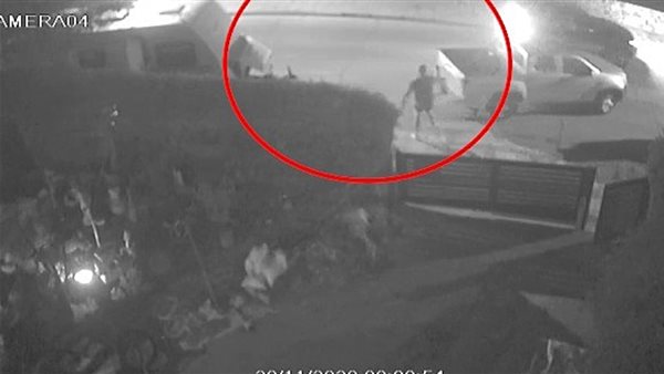 صورة من الحدث 