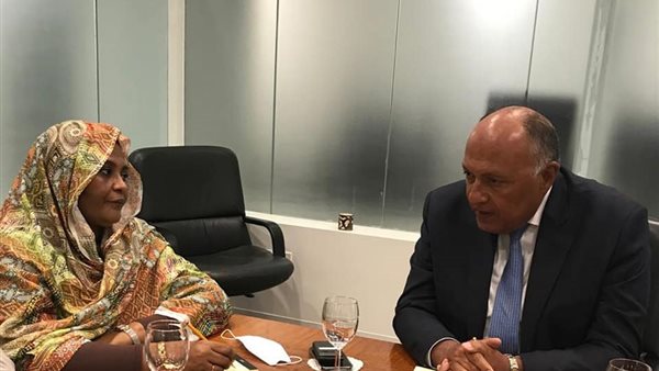 وزيرا خارجية مصر