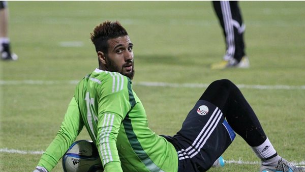 أحمد الشناوي 