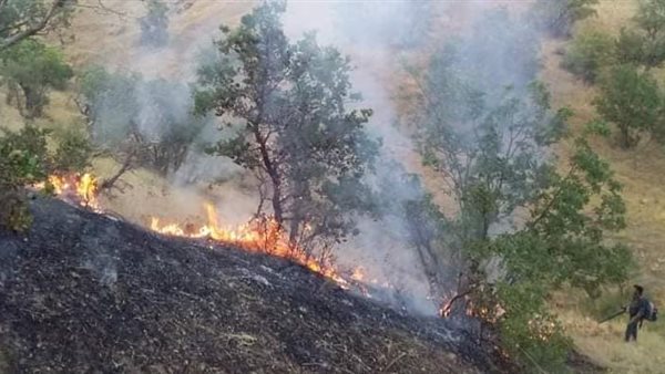 حريق السليمانية