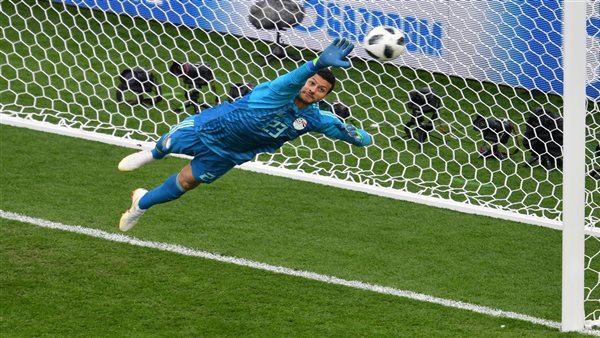 محمد الشناوى 