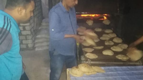 جانب من الحملات