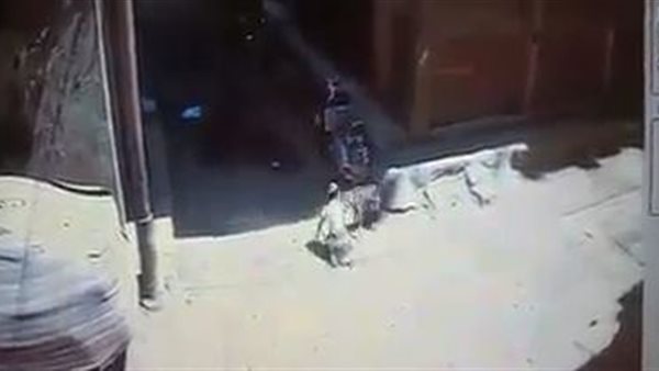 صورة من الفيديو 