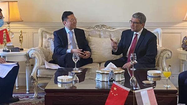 السفير المصرى فى