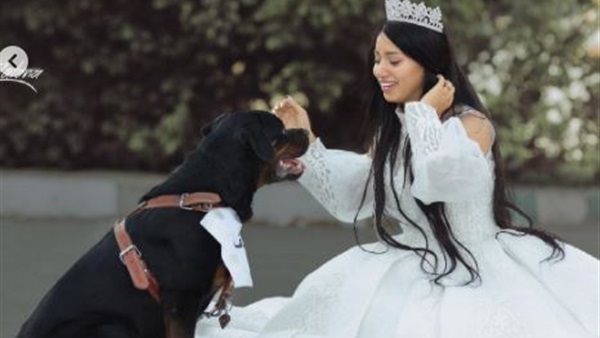 الفوتوسيشن 